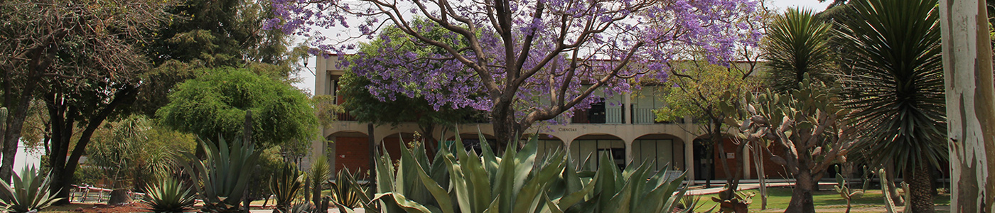 Universidad de las Américas Puebla