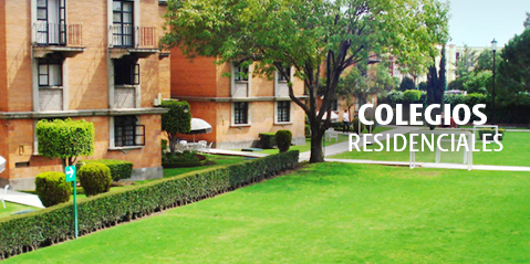 Banner colegios UDLAP