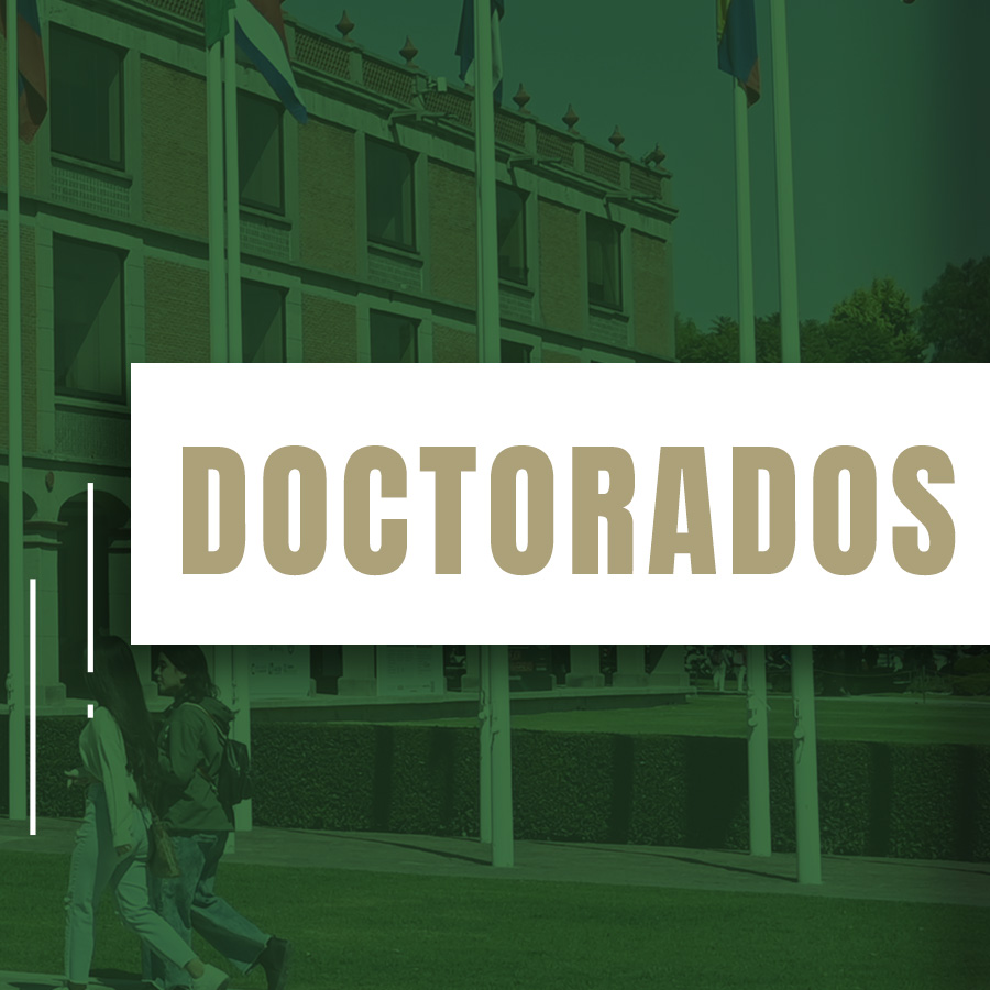 Doctorados UDLAP