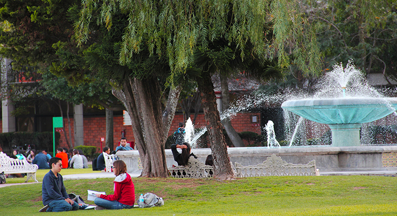 Imagenenes slider de cada licenciatura