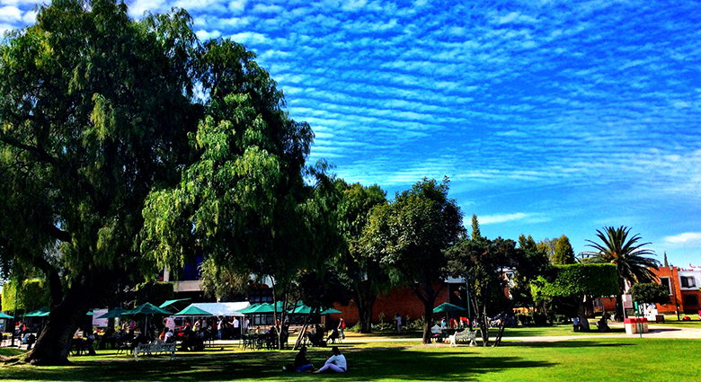 Imagenenes slider de cada licenciatura