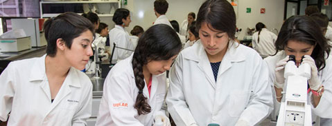 Imagen Plan de Estudios