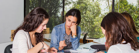 Imagen Plan de Estudios