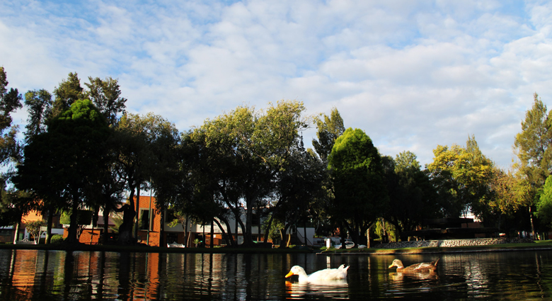 Imagenenes slider de cada licenciatura